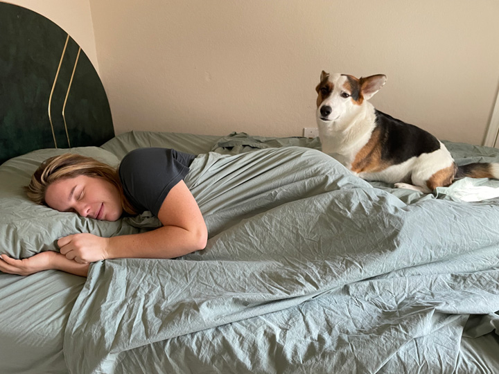 a woman and her dog sleep on the Tuft & Needle sheets